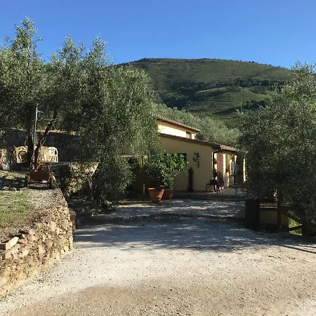 Дом отдыха Campo Dei Lupi Vicopisano