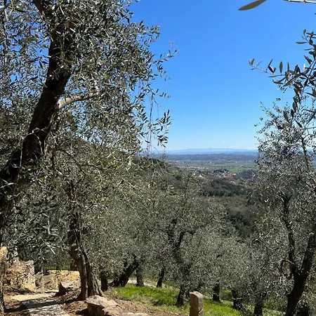 Campo Dei Lupi