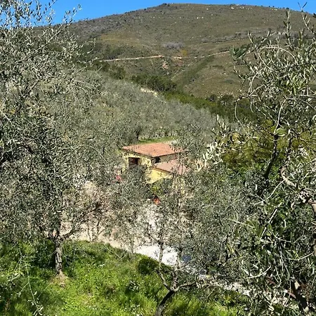 Campo Dei Lupi *