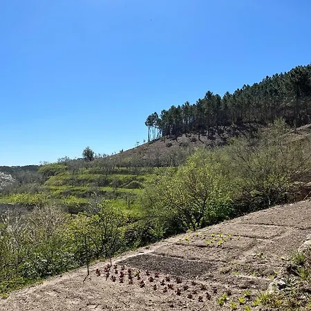 Дом отдыха Campo Dei Lupi *