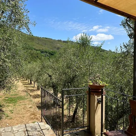 Campo Dei Lupi * Vicopisano