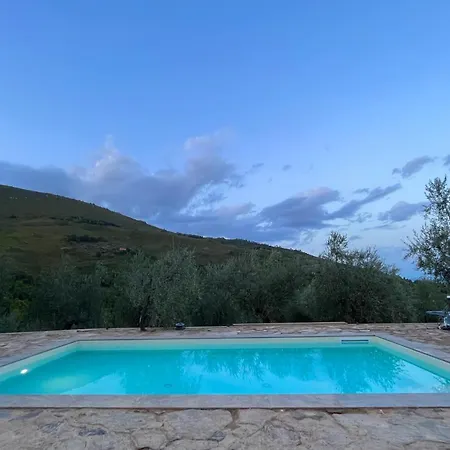 Campo Dei Lupi * Vicopisano