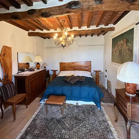 Campo Dei Lupi Vicopisano