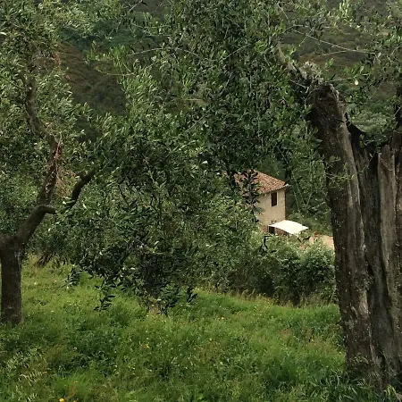 Дом отдыха Campo Dei Lupi *