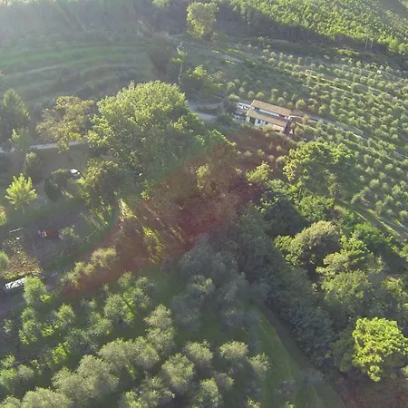 Дом отдыха Campo Dei Lupi Vicopisano